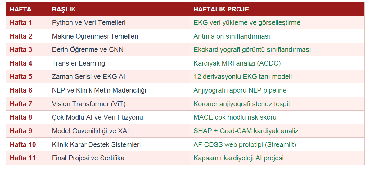 Kardiyolojide Yapay Zekâ Sertifikasyon Programı duyuru görseli