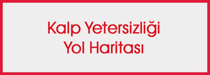 Kalp Yetersizliği Yol Haritası web sitemizde.
