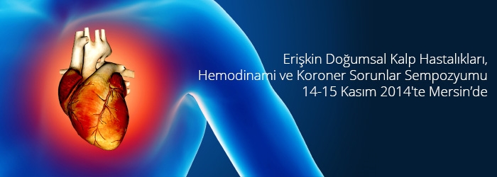 Mersin’de 14-15 Kasım 2014