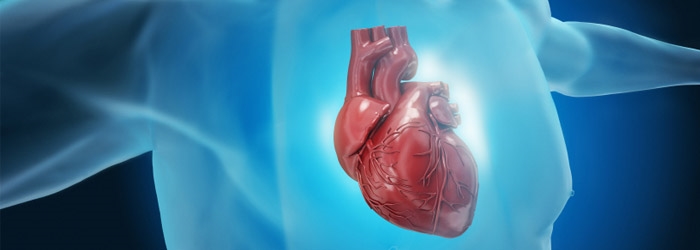 KY Bülten Ağustos 2013 sayısında “Akut Kalp Yetersizliği Tedavisinde Yeni Bir İlaç: Serelaksin” ele alınmıştır.