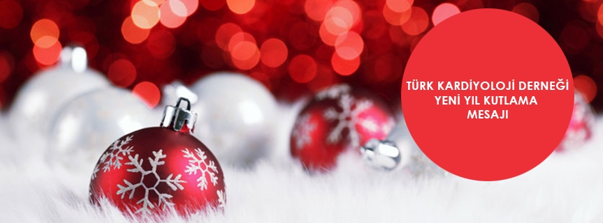 YENİ YIL KUTLAMA MESAJI