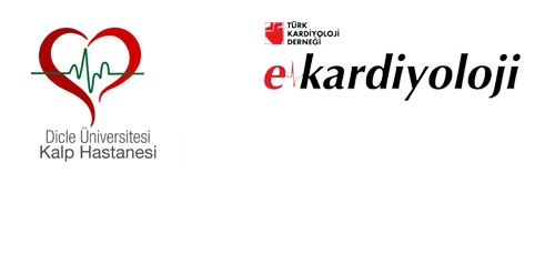 12 Haziran 2012 saat 12.00-13.30 E-Kardiyoloji canlı yayını: Supra-aortik Girişimler