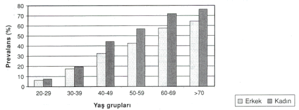 sekil1.gif (70721 bytes)